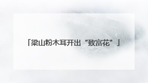梁山粉木耳开出“致富花”