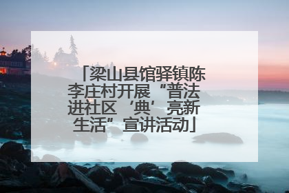 梁山县馆驿镇陈李庄村开展“普法进社区‘典’亮新生活”宣讲活动