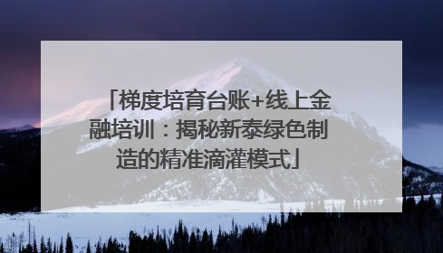 梯度培育台账+线上金融培训：揭秘新泰绿色制造的精准滴灌模式
