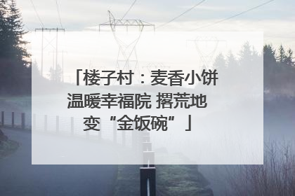 楼子村：麦香小饼温暖幸福院 撂荒地变“金饭碗”