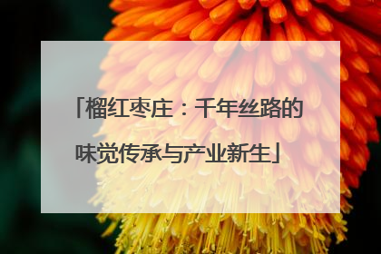 榴红枣庄：千年丝路的味觉传承与产业新生
