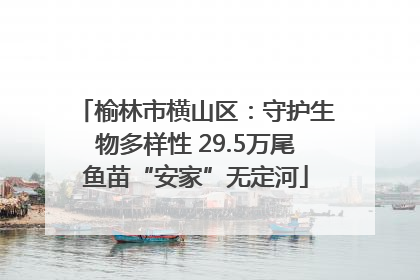榆林市横山区：守护生物多样性 29.5万尾鱼苗“安家”无定河