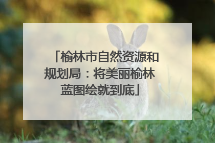 榆林市自然资源和规划局：将美丽榆林蓝图绘就到底
