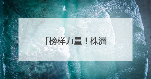 榜样力量！株洲一批“热血英雄”受省级表彰
