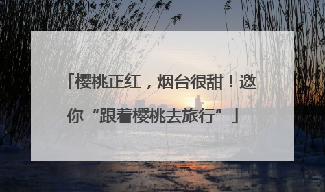 樱桃正红，烟台很甜！邀你“跟着樱桃去旅行”