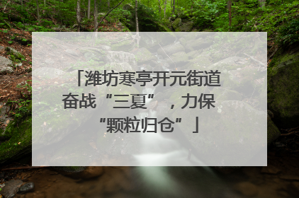 潍坊寒亭开元街道奋战“三夏”，力保“颗粒归仓”