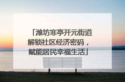 潍坊寒亭开元街道解锁社区经济密码，赋能居民幸福生活