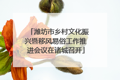 潍坊市乡村文化振兴暨移风易俗工作推进会议在诸城召开