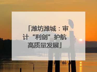 潍坊潍城：审计“利剑”护航高质量发展
