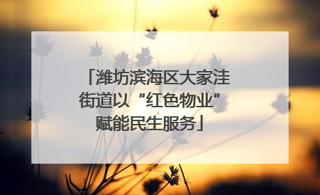 潍坊滨海区大家洼街道以“红色物业”赋能民生服务
