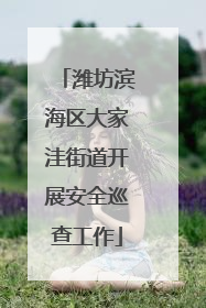 潍坊滨海区大家洼街道开展安全巡查工作