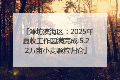 潍坊滨海区：2025年夏收工作圆满完成 5.22万亩小麦颗粒归仓