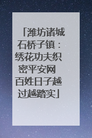 潍坊诸城石桥子镇：绣花功夫织密平安网 百姓日子越过越踏实