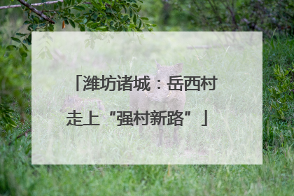 潍坊诸城：岳西村走上“强村新路”