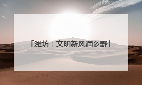 潍坊：文明新风润乡野
