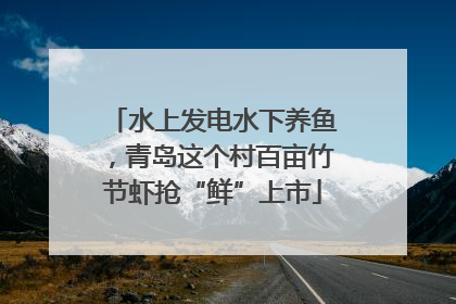 水上发电水下养鱼，青岛这个村百亩竹节虾抢“鲜”上市