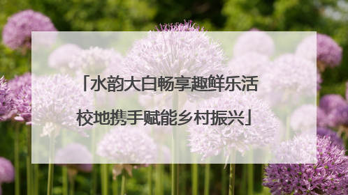 水韵大白畅享趣鲜乐活 校地携手赋能乡村振兴