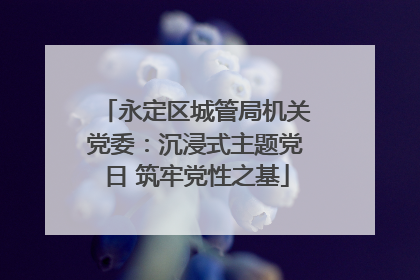 永定区城管局机关党委：沉浸式主题党日 筑牢党性之基