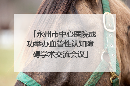 永州市中心医院成功举办血管性认知障碍学术交流会议
