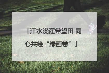 汗水浇灌希望田 同心共绘“绿画卷”