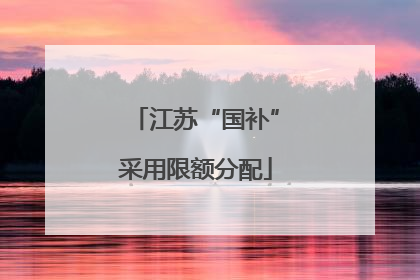 江苏“国补”采用限额分配