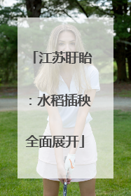 江苏盱眙：水稻插秧全面展开