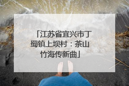 江苏省宜兴市丁蜀镇上坝村：茶山竹海传新曲