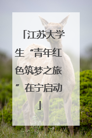 江苏大学生“青年红色筑梦之旅”在宁启动