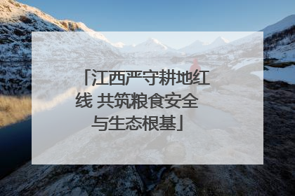 江西严守耕地红线 共筑粮食安全与生态根基