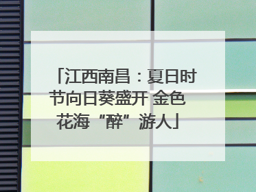 江西南昌：夏日时节向日葵盛开 金色花海“醉”游人