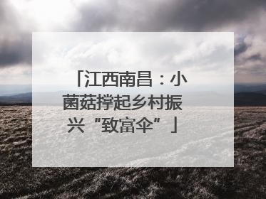 江西南昌：小菌菇撑起乡村振兴“致富伞”