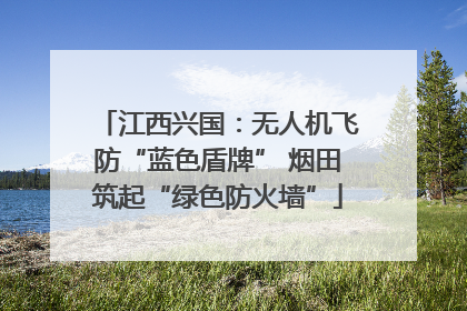 江西兴国：无人机飞防“蓝色盾牌” 烟田筑起“绿色防火墙”