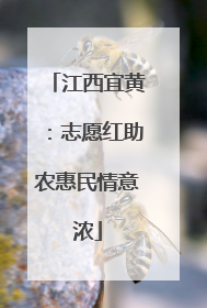 江西宜黄：志愿红助农惠民情意浓
