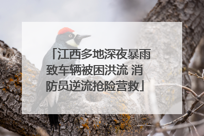 江西多地深夜暴雨致车辆被困洪流 消防员逆流抢险营救