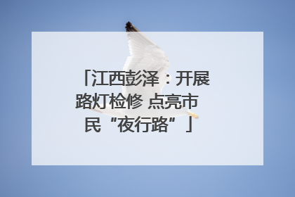江西彭泽：开展路灯检修 点亮市民“夜行路”