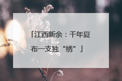 江西新余：千年夏布一支独“绣”