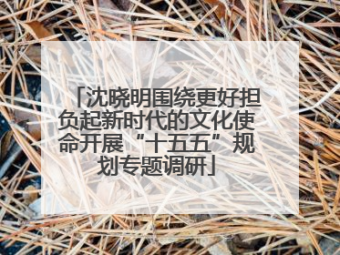 沈晓明围绕更好担负起新时代的文化使命开展“十五五”规划专题调研