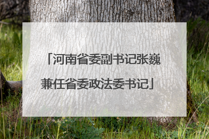 河南省委副书记张巍兼任省委政法委书记