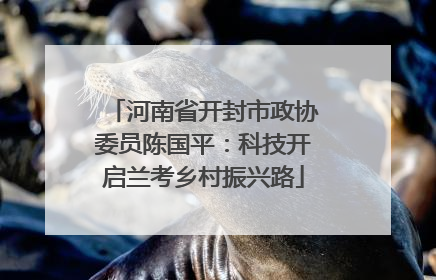 河南省开封市政协委员陈国平：科技开启兰考乡村振兴路
