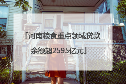 河南粮食重点领域贷款余额超2595亿元