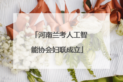 河南兰考人工智能协会妇联成立
