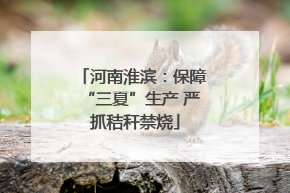 河南淮滨：保障“三夏”生产 严抓秸秆禁烧