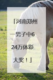 河南郑州一男子中624万体彩大奖！