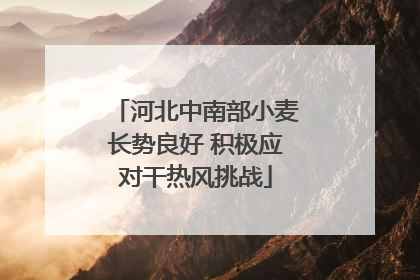 河北中南部小麦长势良好 积极应对干热风挑战