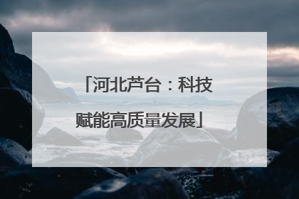 河北芦台：科技赋能高质量发展