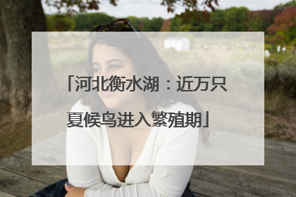 河北衡水湖：近万只夏候鸟进入繁殖期