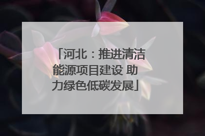 河北：推进清洁能源项目建设 助力绿色低碳发展