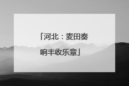 河北：麦田奏响丰收乐章
