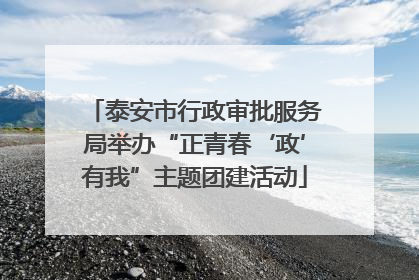 泰安市行政审批服务局举办“正青春‘政’有我”主题团建活动