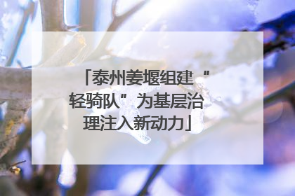 泰州姜堰组建“轻骑队”为基层治理注入新动力